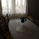 V Soukromi Klima 홈스테이 *